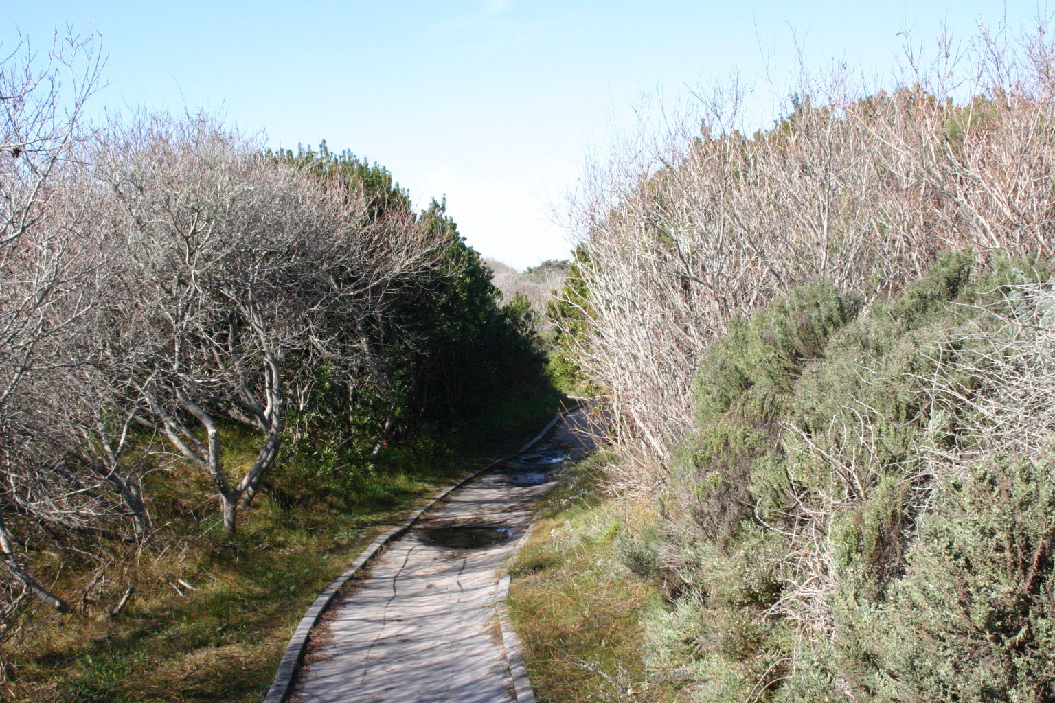 Oso Flaco Boardwalk